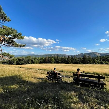 Bergrauschen - Waldloft - Preise Inklusive Waesche Leilighet Goslar Eksteriør bilde