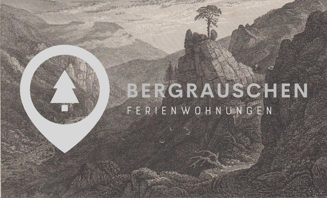 Bergrauschen - Waldloft - Preise Inklusive Waesche Leilighet Goslar Eksteriør bilde
